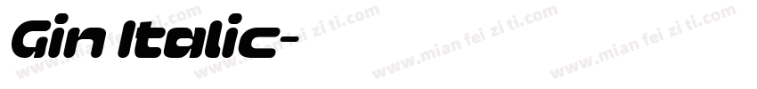 Gin Italic字体转换